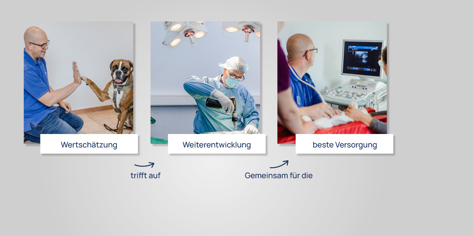 Teaserbild Tierarztpraxis Fischer